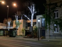 Town Centre Tree Lighting 2020